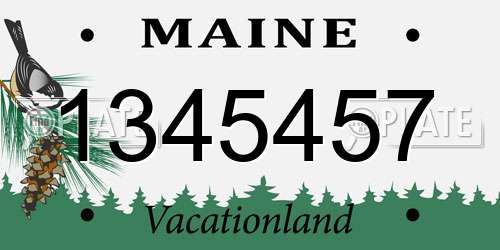 1345457 Maine License Plate