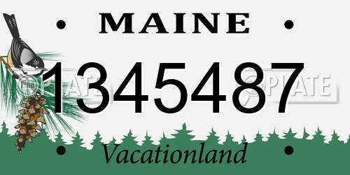 1345487 Maine License Plate
