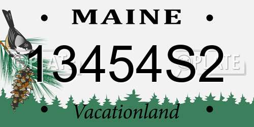 13454S2 Maine License Plate