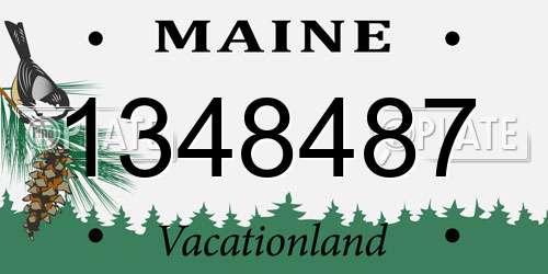 1348487 Maine License Plate