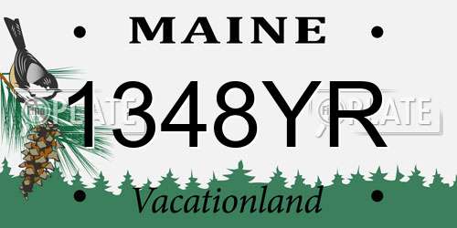 1348YR Maine License Plate