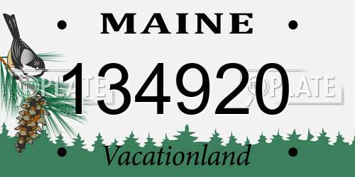 134920 Maine License Plate