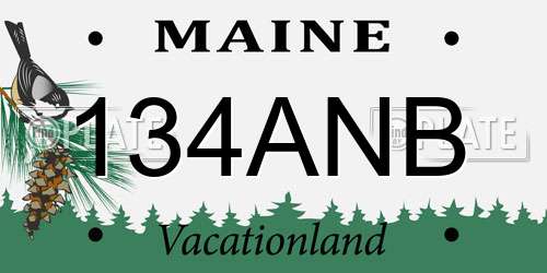 134ANB Maine License Plate