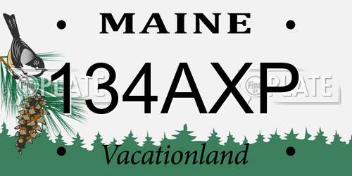134AXP Maine License Plate