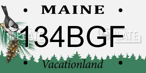 134BGF Maine License Plate
