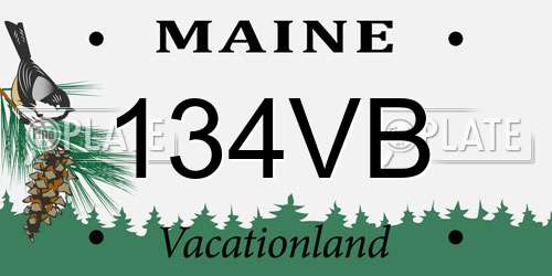 134VB Maine License Plate