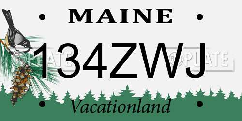 134ZWJ Maine License Plate