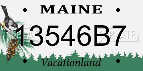 13546B7 Maine License Plate