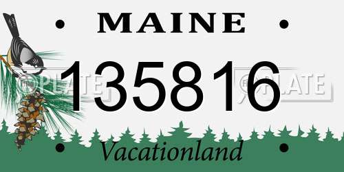 135816 Maine License Plate