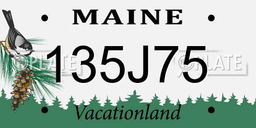 135J75 Maine License Plate