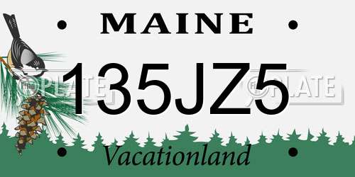135JZ5 Maine License Plate