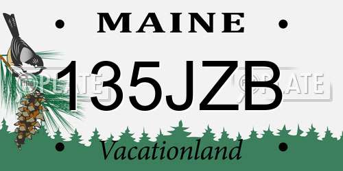 135JZB Maine License Plate
