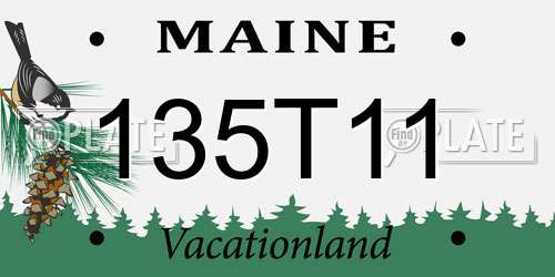 135T11 Maine License Plate