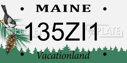 135ZI1 Maine License Plate