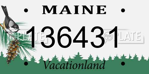136431 Maine License Plate
