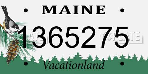 1365275 Maine License Plate