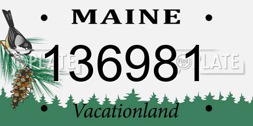 136981 Maine License Plate