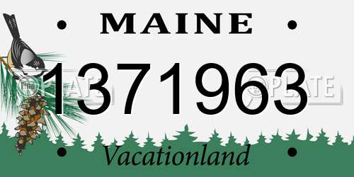 1371963 Maine License Plate