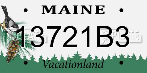13721B3 Maine License Plate