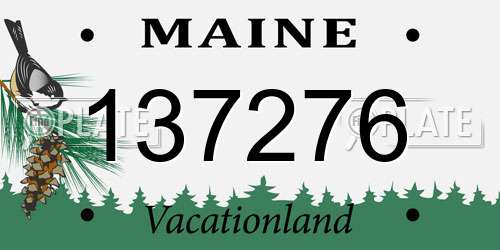 137276 Maine License Plate