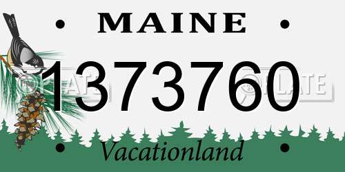 1373760 Maine License Plate