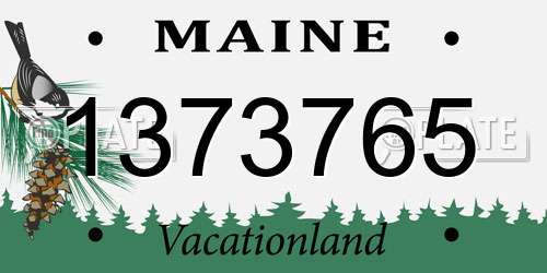 1373765 Maine License Plate
