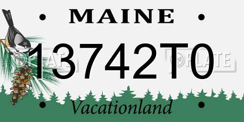 13742T0 Maine License Plate