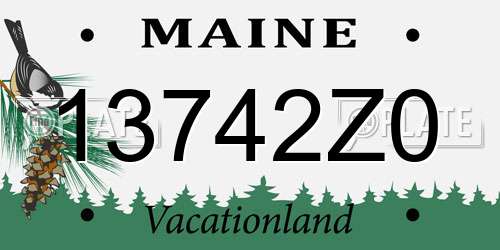 13742Z0 Maine License Plate