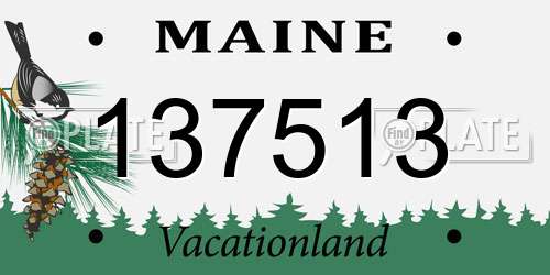 137513 Maine License Plate