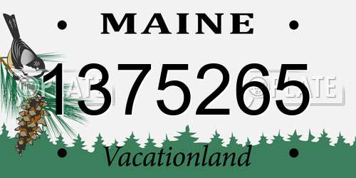 1375265 Maine License Plate