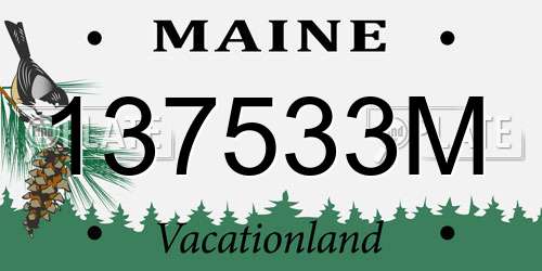 137533M Maine License Plate