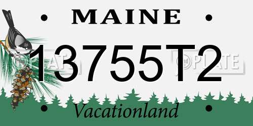 13755T2 Maine License Plate