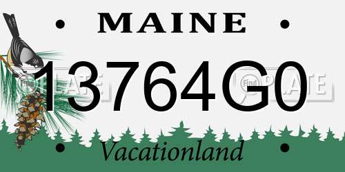 13764G0 Maine License Plate