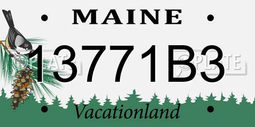 13771B3 Maine License Plate