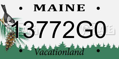 13772G0 Maine License Plate
