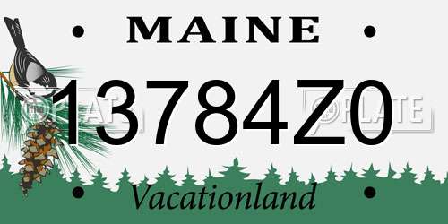 13784Z0 Maine License Plate