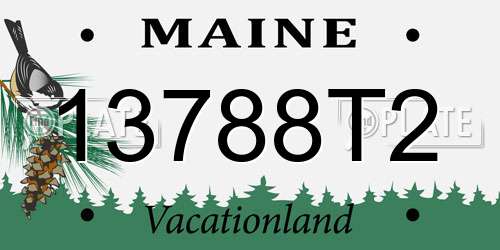 13788T2 Maine License Plate