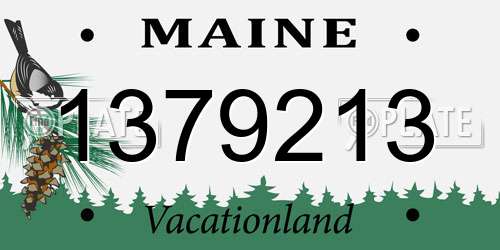 1379213 Maine License Plate