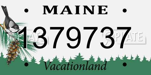 1379737 Maine License Plate