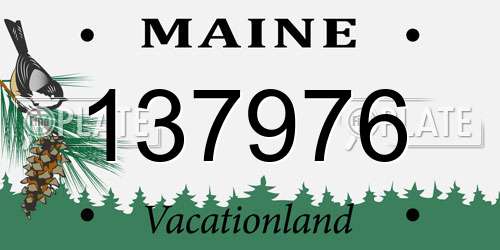 137976 Maine License Plate