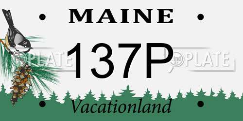 137P Maine License Plate