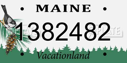 1382482 Maine License Plate
