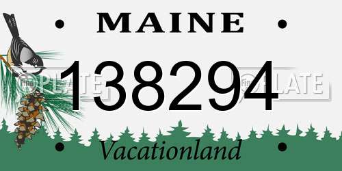 138294 Maine License Plate