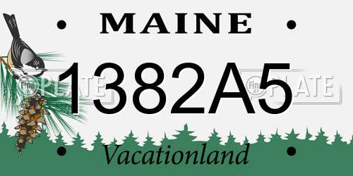 1382A5 Maine License Plate