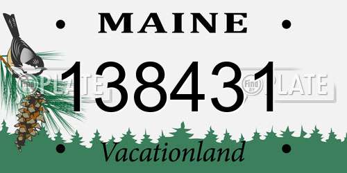 138431 Maine License Plate