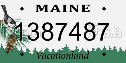 1387487 Maine License Plate