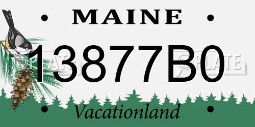 13877B0 Maine License Plate