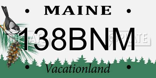 138BNM Maine License Plate