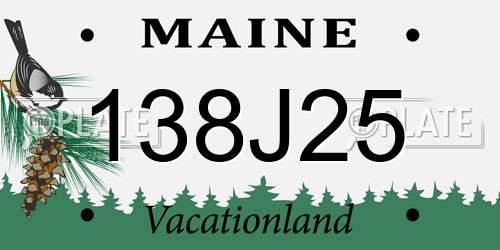 138J25 Maine License Plate