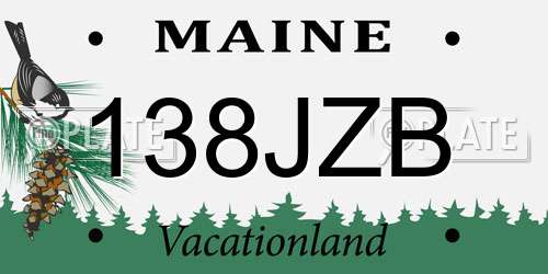 138JZB Maine License Plate